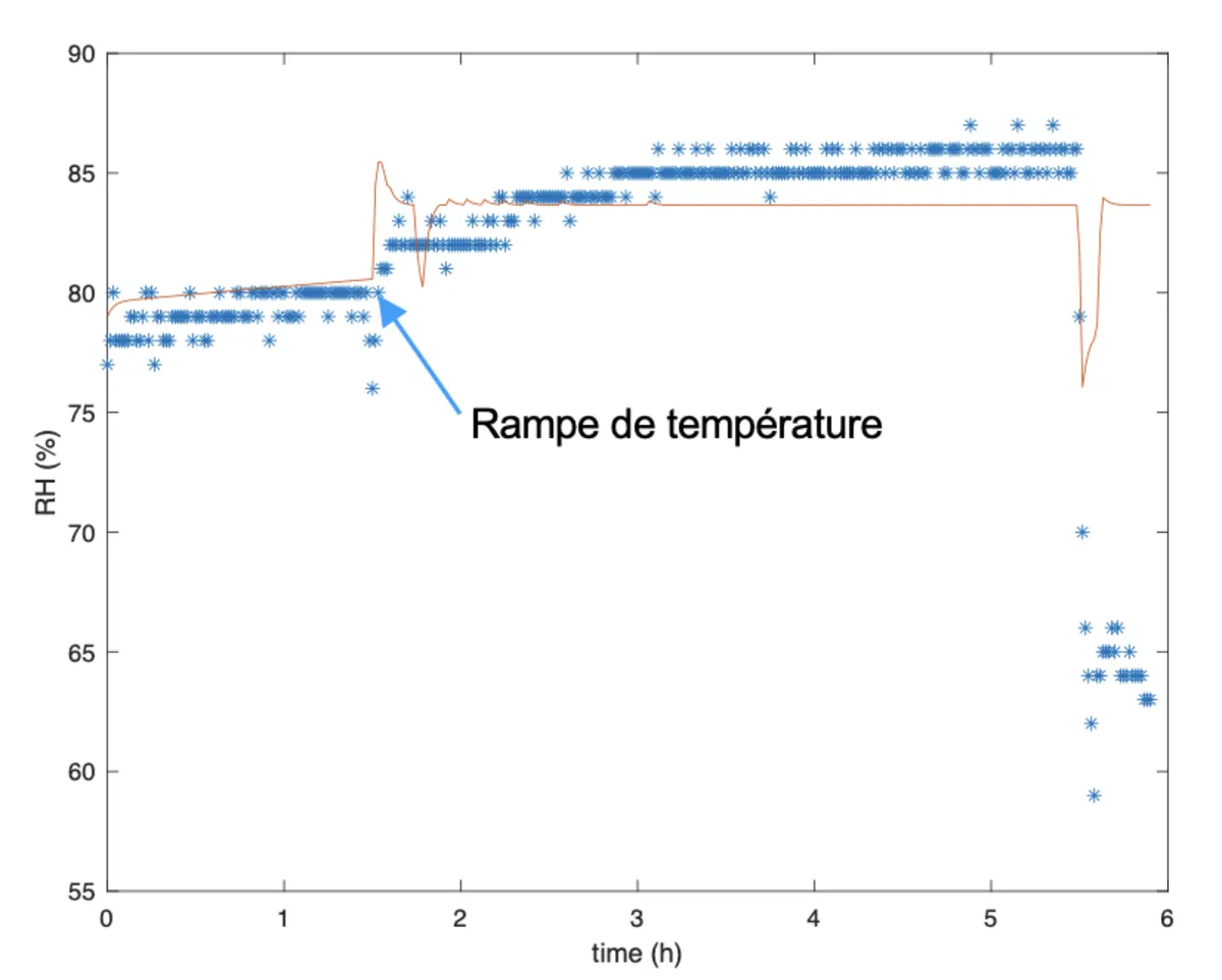 Measured (blue) and simulated (red) RH — protected product