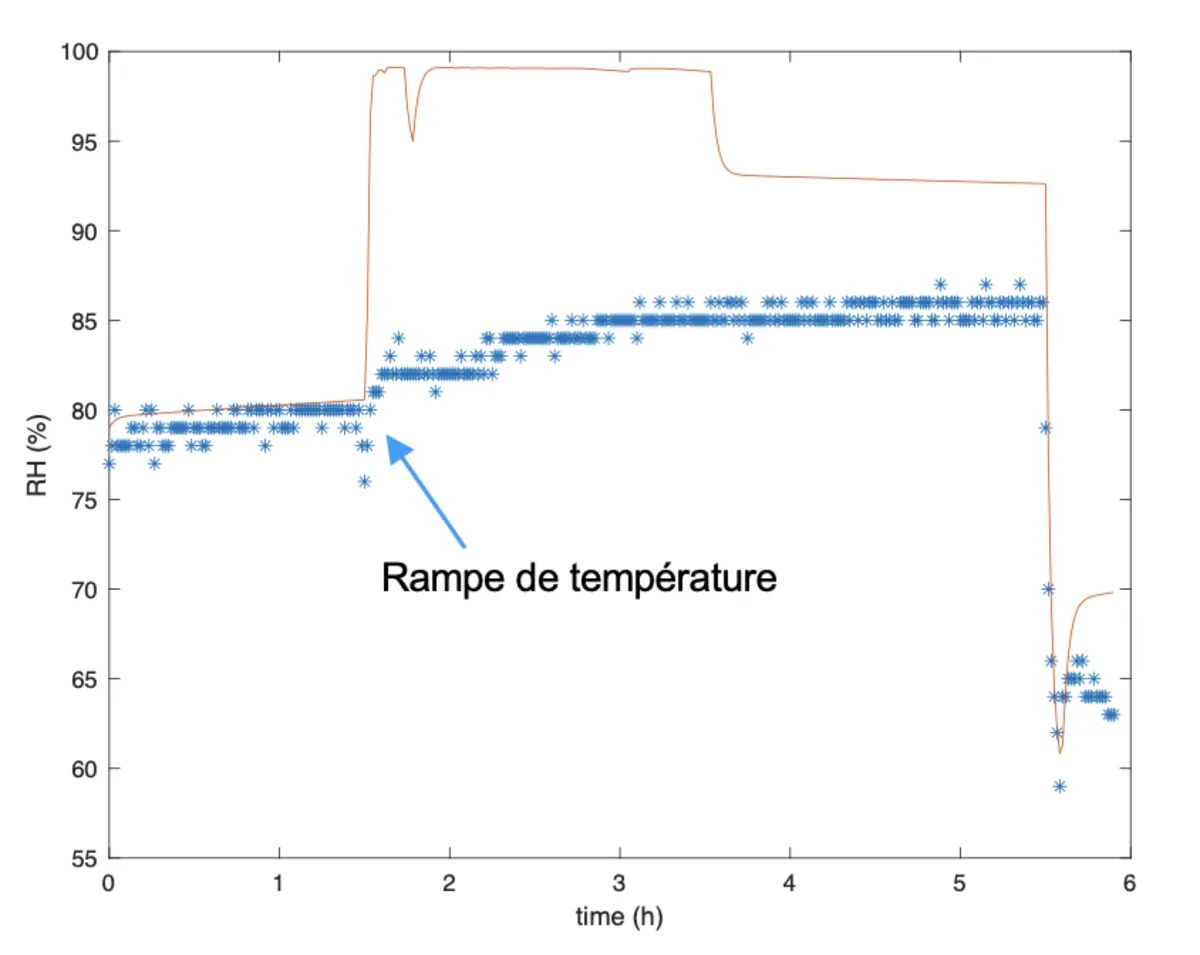 Simulation without Air Sponge — condensation