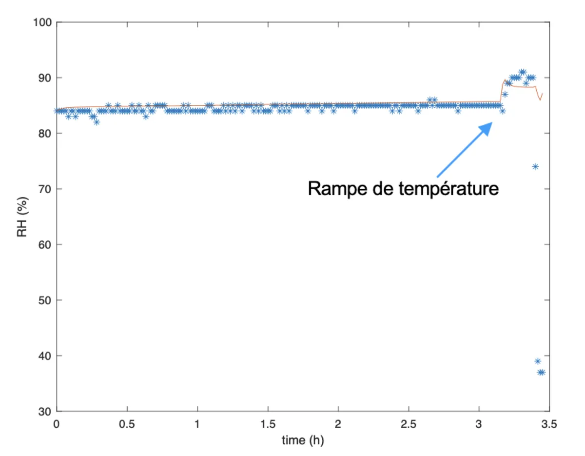 Simulation with Air Sponge — condensation prevented