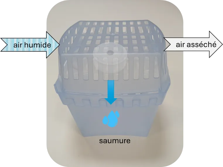 Moisture absorption process