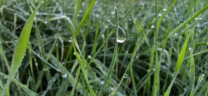 Dew Point Temperature: Definition and Challenges