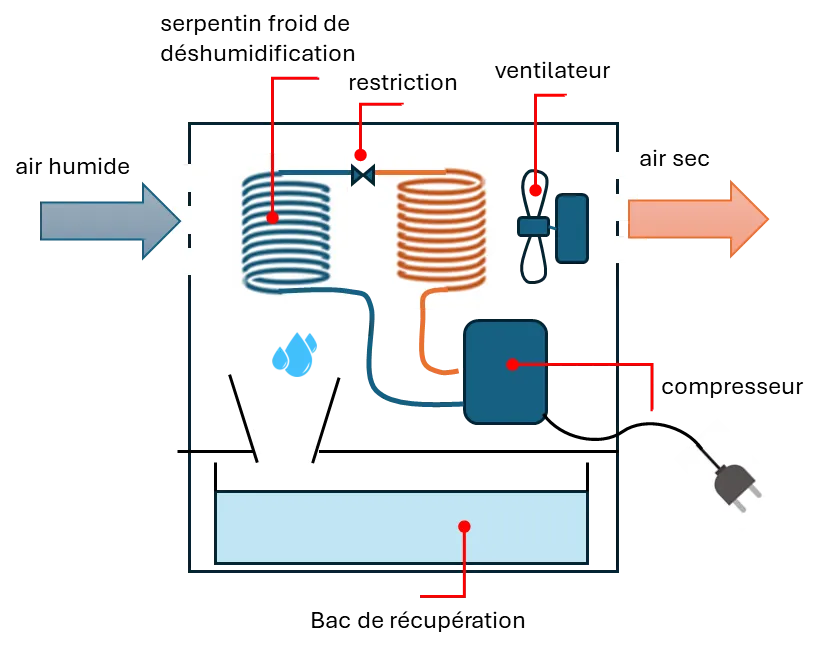 How a dehumidifier works in practice