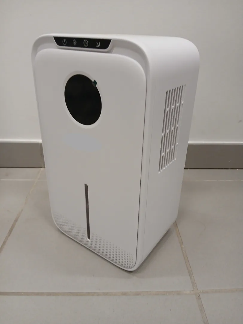 Electric Dehumidifier: How Does It Work?
