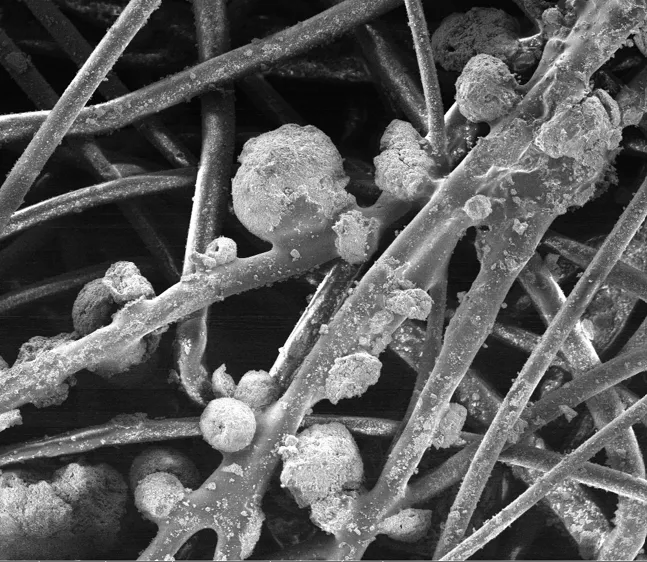 So Sponge fabric close-up